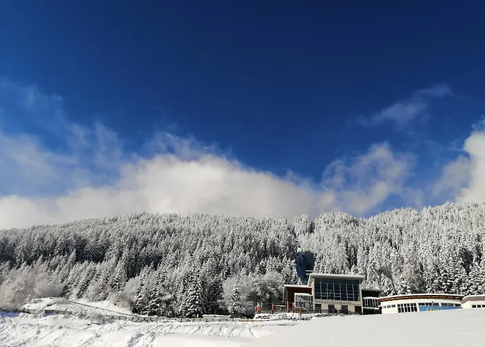 Διαμέρισμα Wiltigerhof *